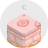 C
