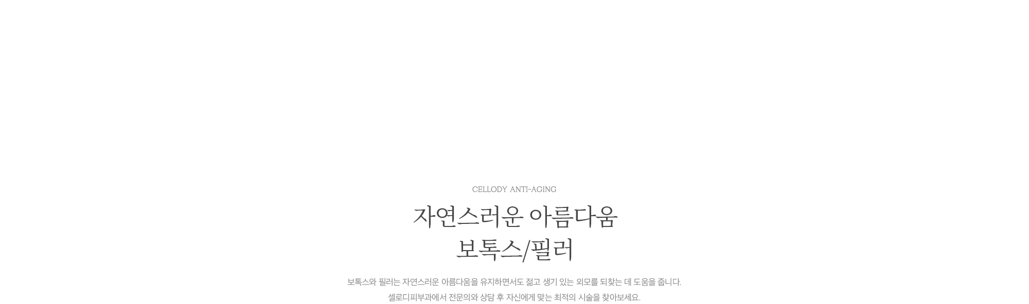 보톡스/필러
